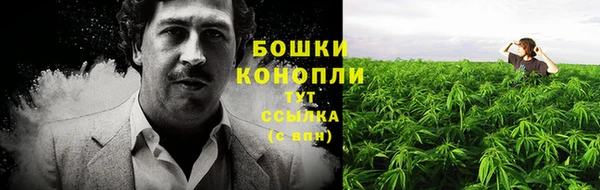 не бодяженный Белокуриха