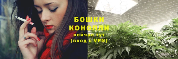 не бодяженный Белокуриха